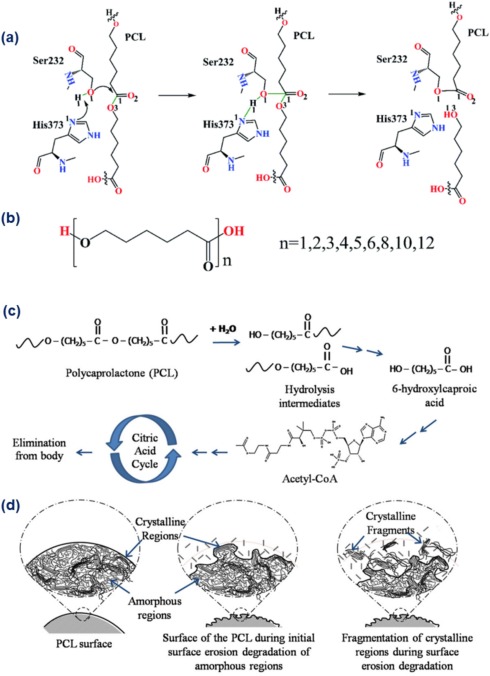 © https://doi.org/10.1016/j.pmatsci.2024.101336